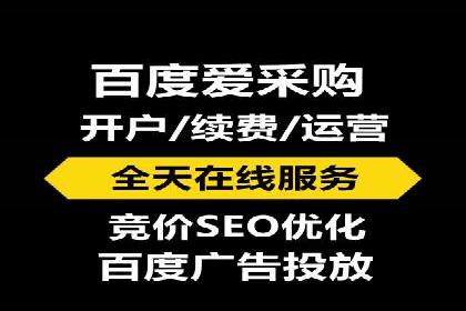 解析SEM竞价代运营公司的技术实力与服务优势